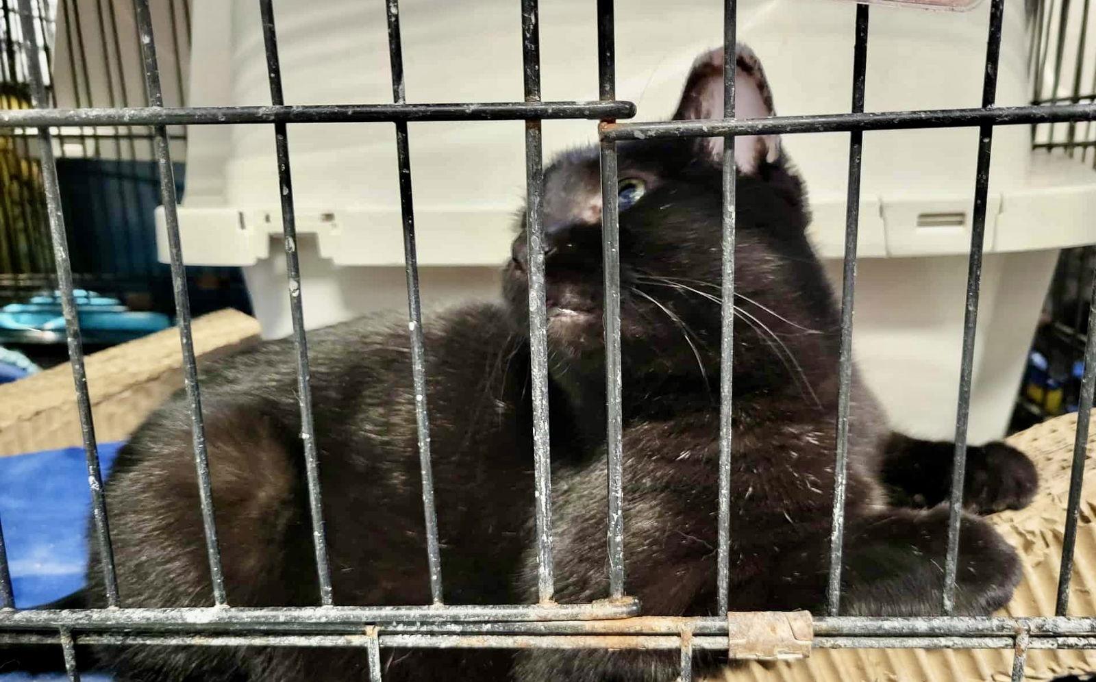 Bristol — thumbnail 3