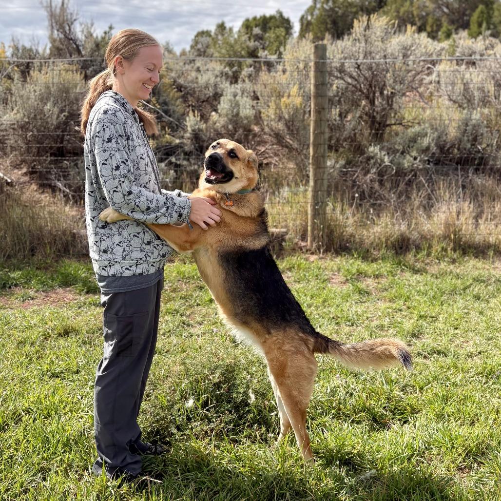 Enlarge Ruby, a Adoptable mixed breed in Glenwood Springs, CO image 3/6