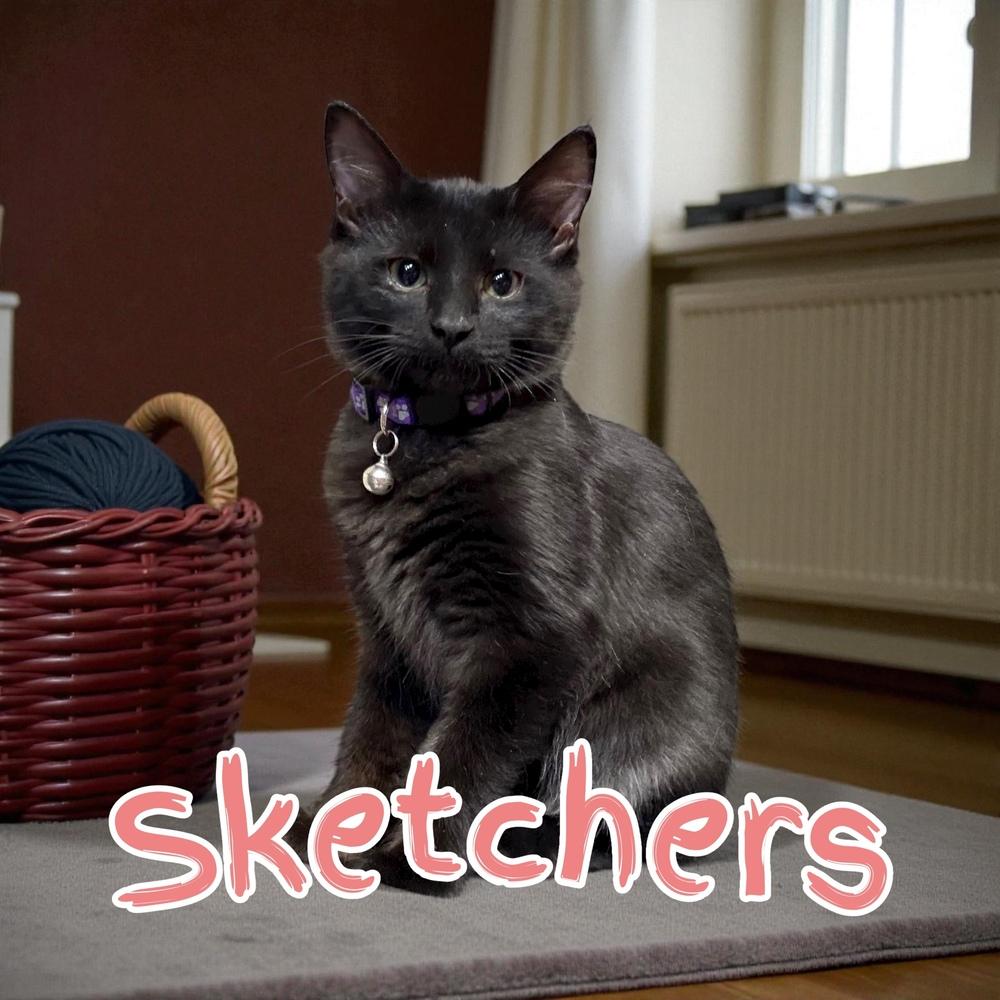 Enlarge Sketchers, a Adoptable mixed breed in Bellevue, NE image 4/5