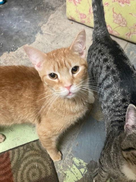 Country — thumbnail 2