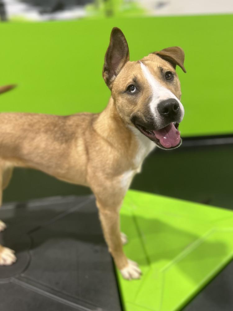 Caroline thumbnail 2