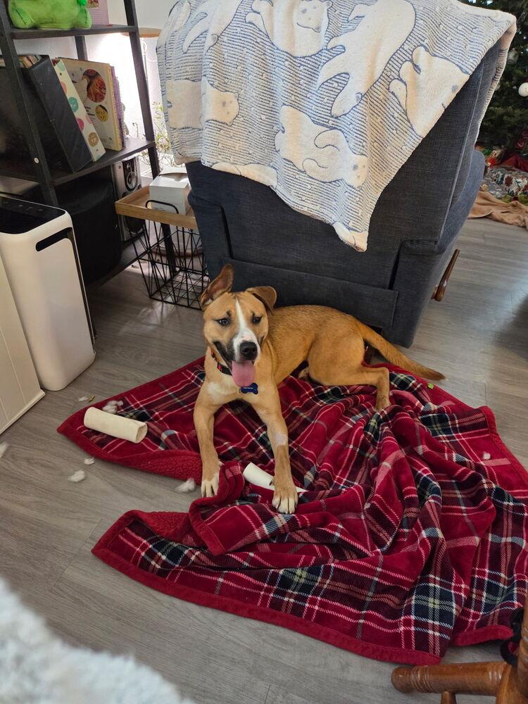 Caroline thumbnail 4