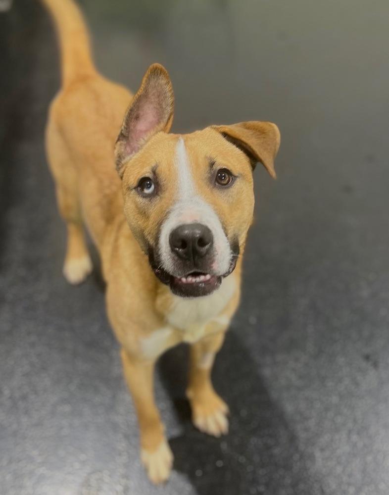 Caroline thumbnail 6