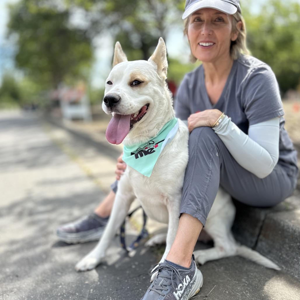 Enlarge Matilda - ECAS, a Adoptable mixed breed in Pleasanton, CA image 1/6