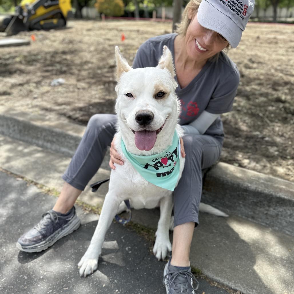 Enlarge Matilda - ECAS, a Adoptable mixed breed in Pleasanton, CA image 4/6
