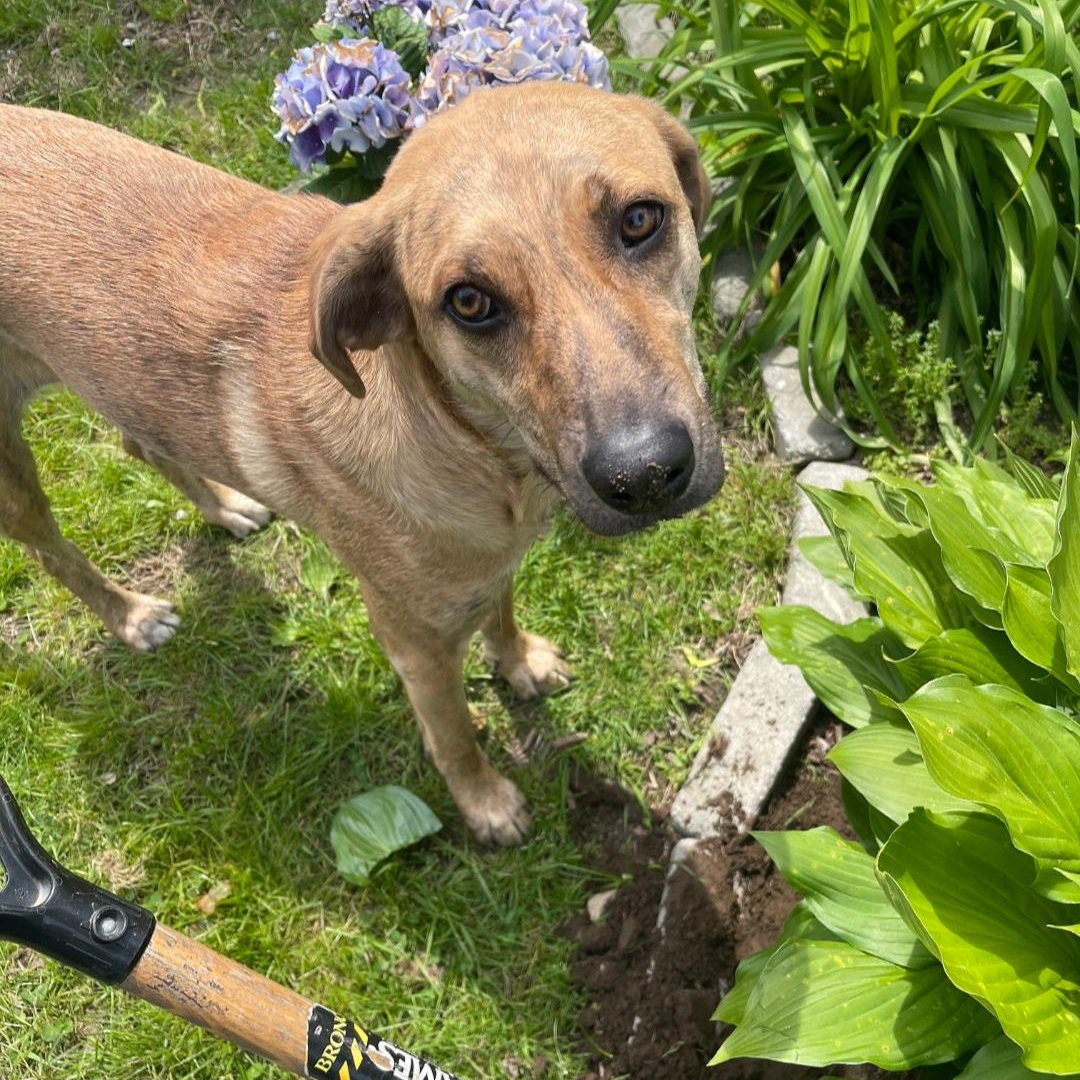 Mary - Fostered in Massachusetts photo 4