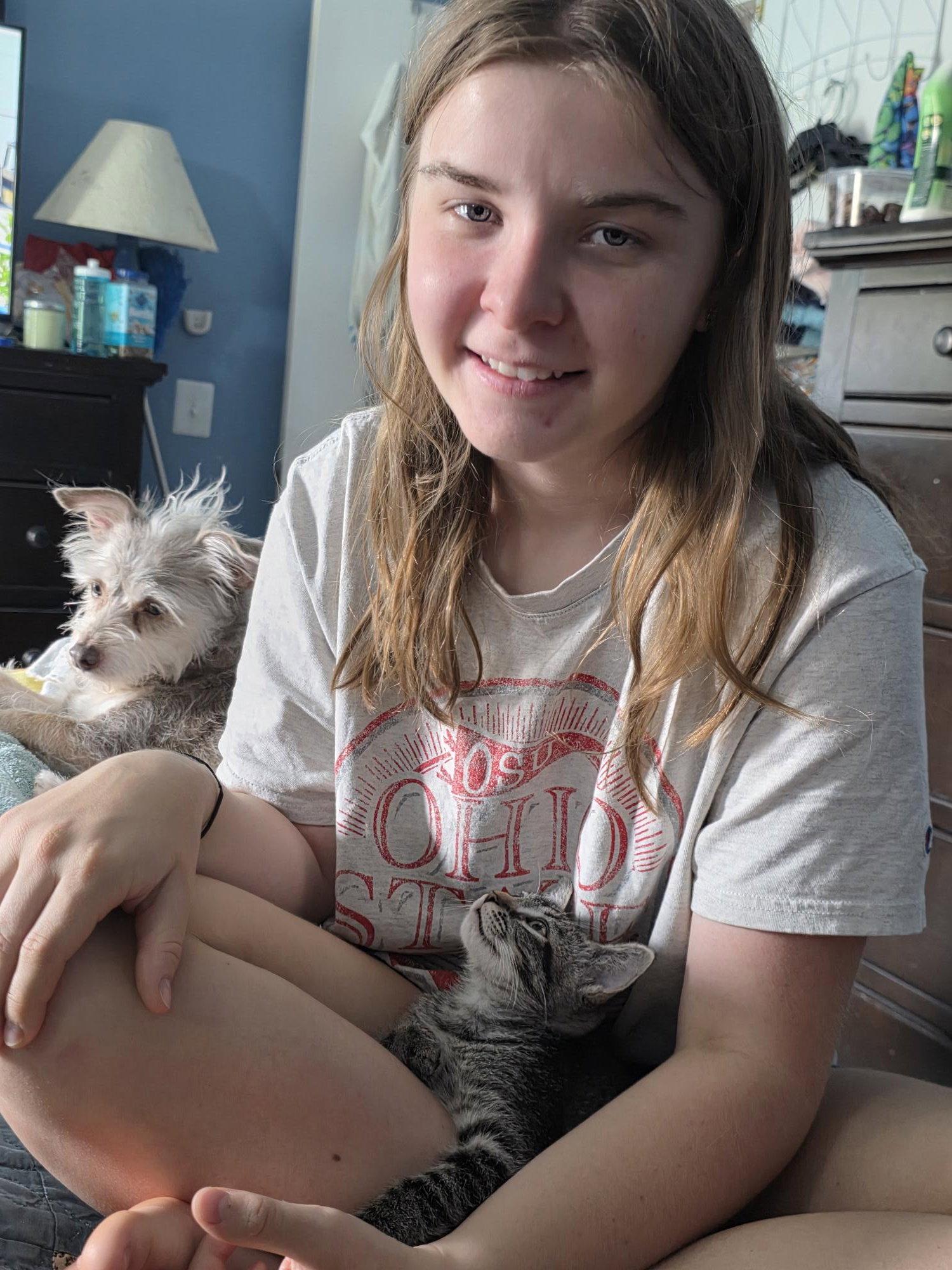 Enlarge Ozzy, a Adopted Domestic Short Hair in Phoenix, AZ image 1/3