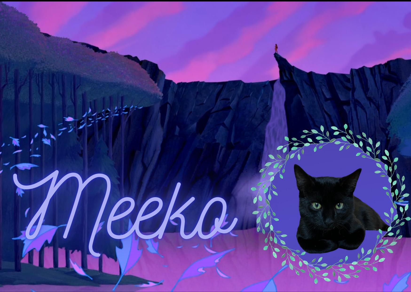 Meeko