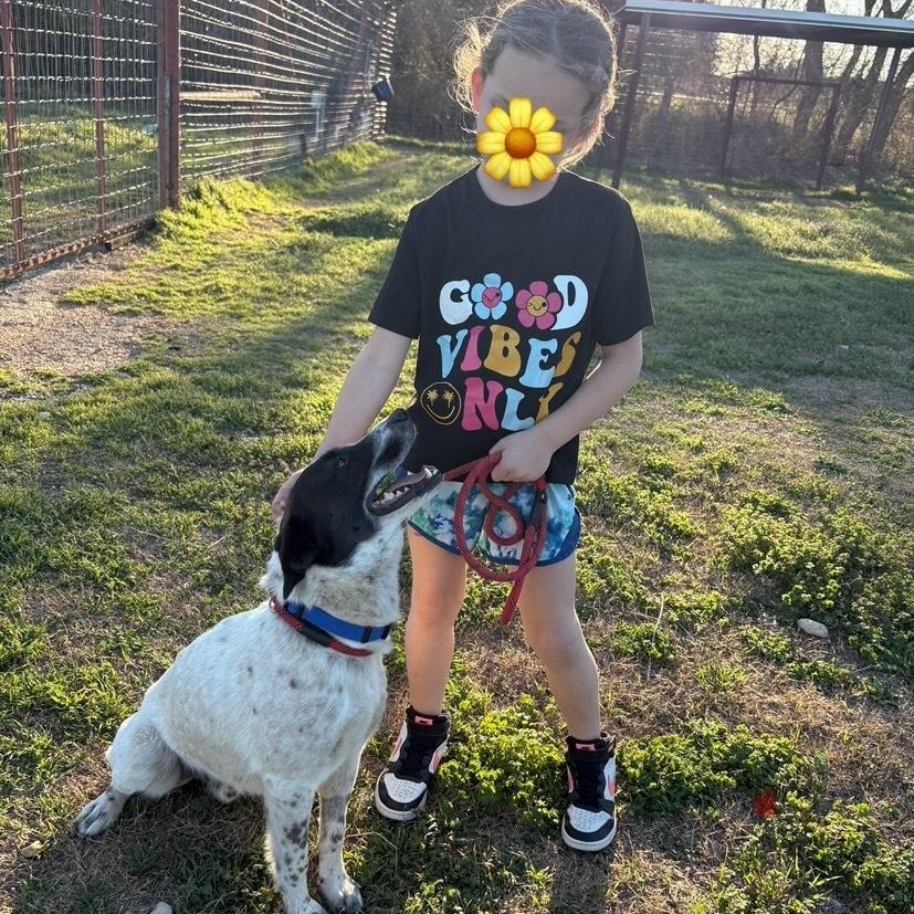 Enlarge Blue Poncho, a Adopted mixed breed in Covington, TX image 2/2