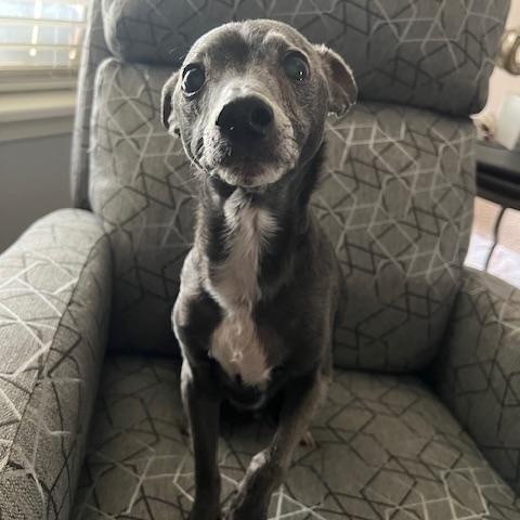 Cooper