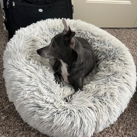 Cooper