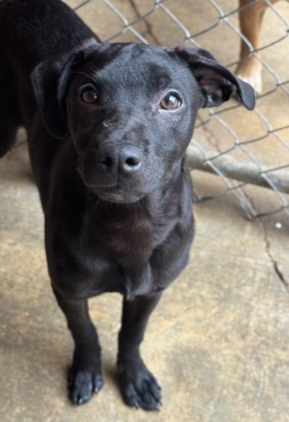 Marcus — thumbnail 2