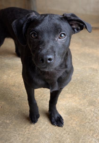 Marcus — thumbnail 3