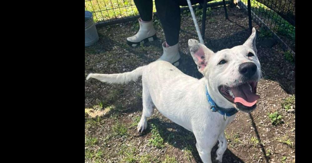 Judy — thumbnail 2