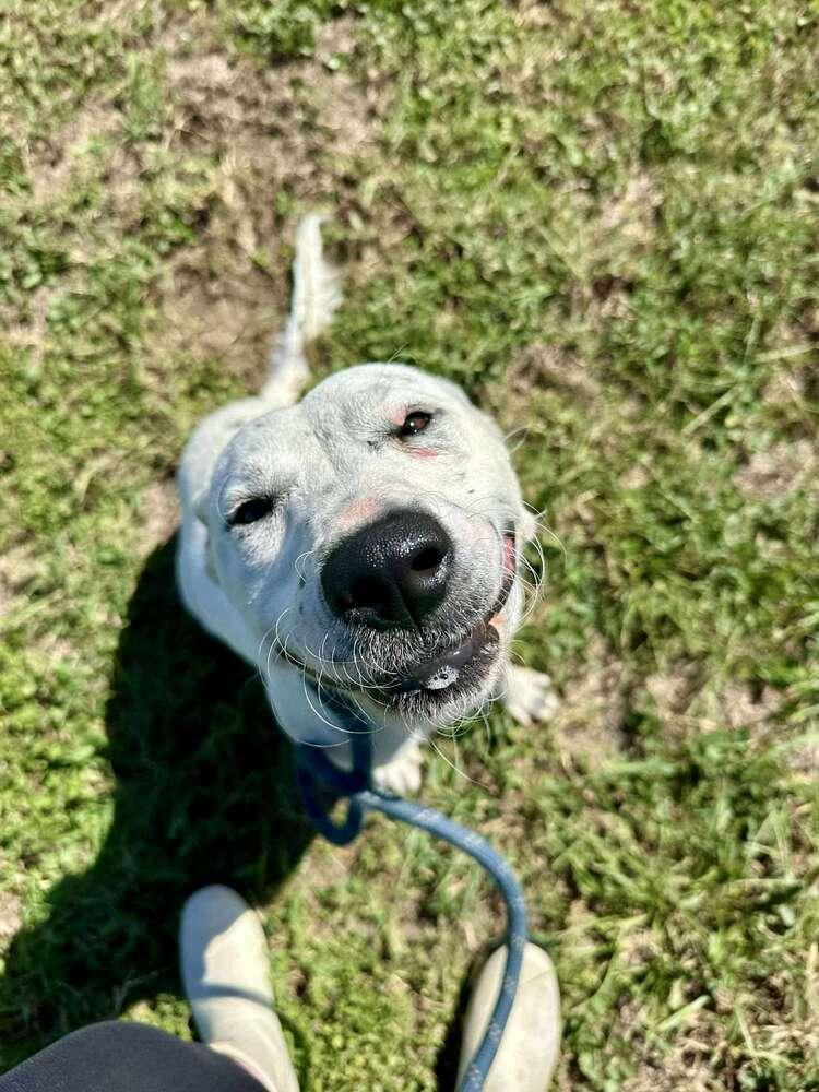 Judy — thumbnail 3