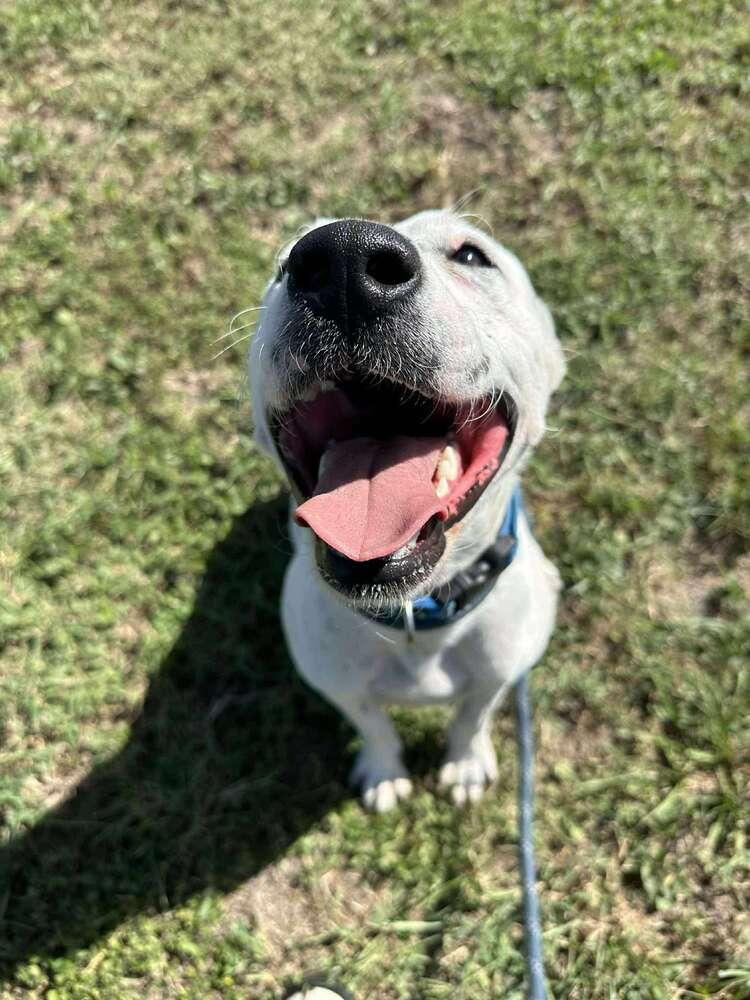 Judy — thumbnail 4