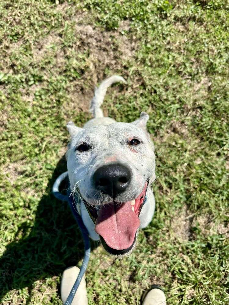 Judy — thumbnail 5