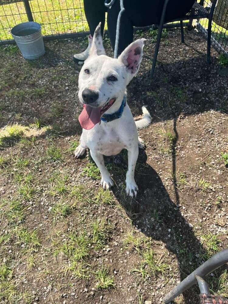 Judy — thumbnail 6