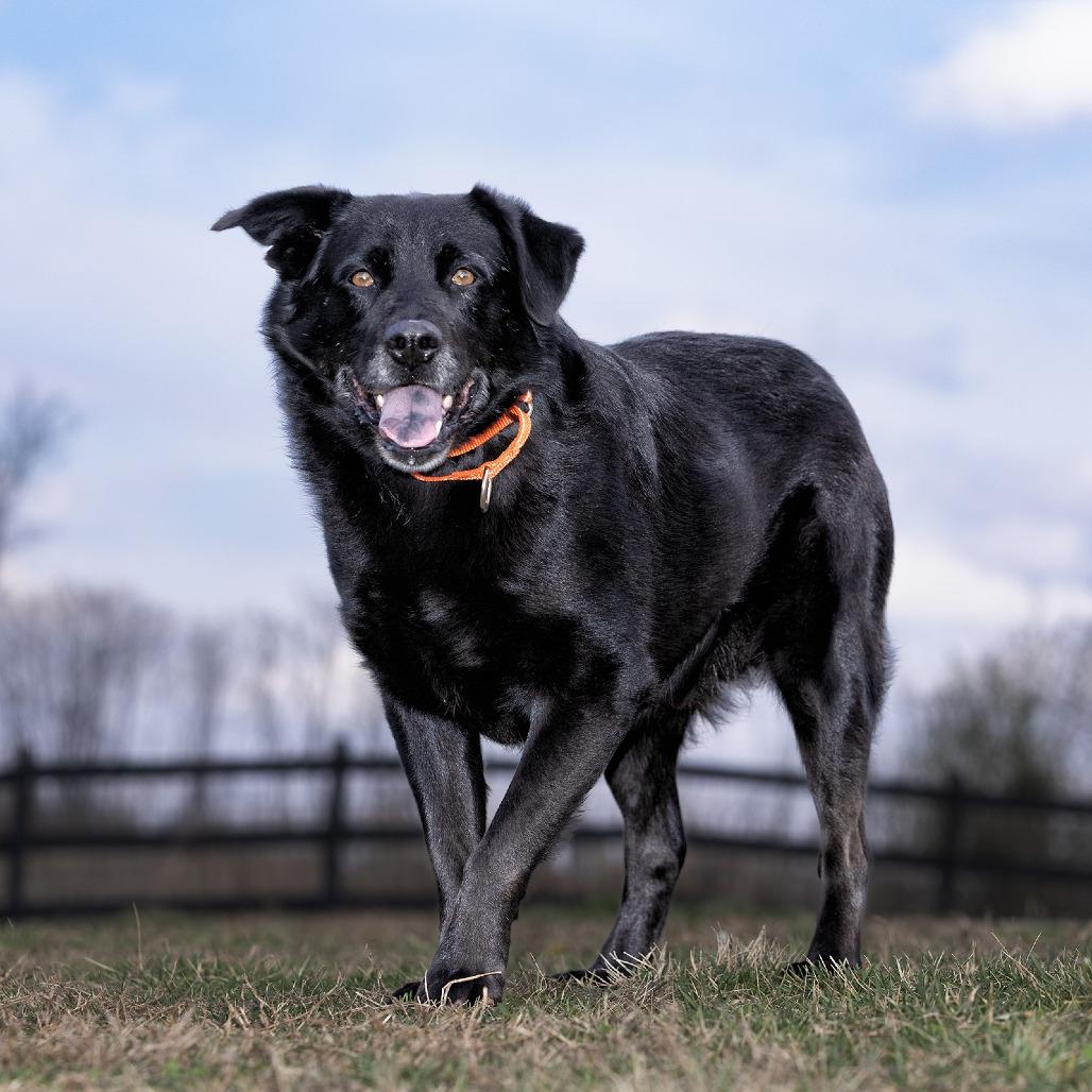 Bucky — thumbnail 2