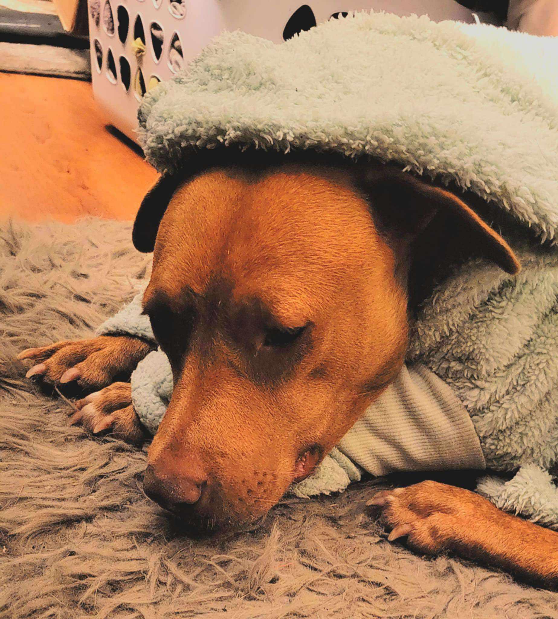 Sally (20250205-02) — thumbnail 2