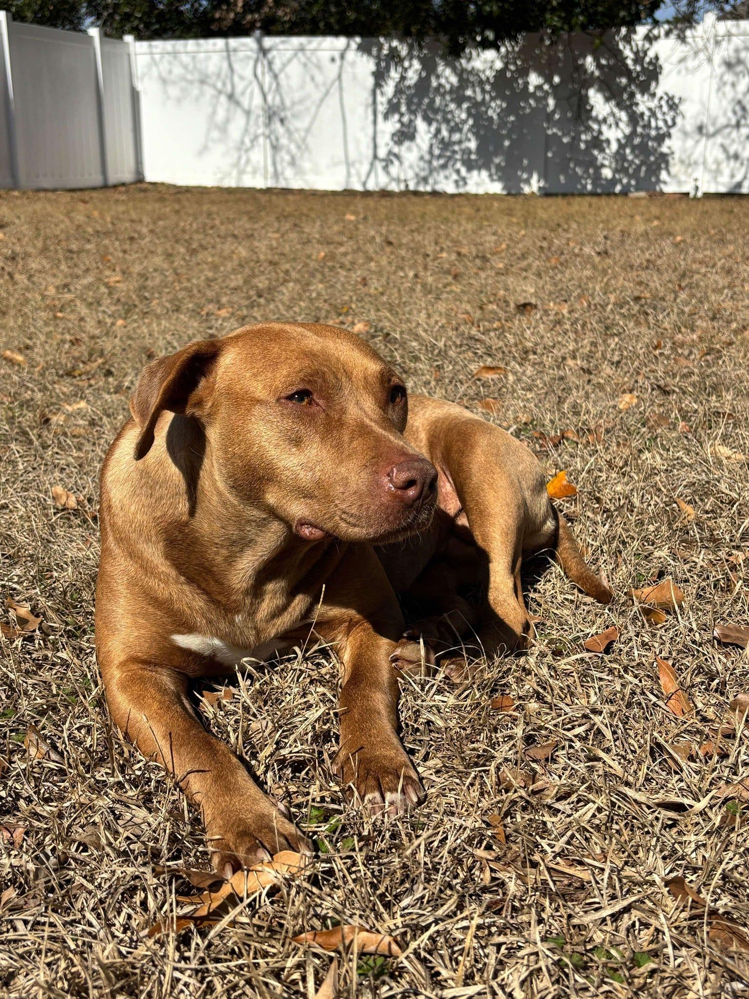 Sally (20250205-02) — thumbnail 3