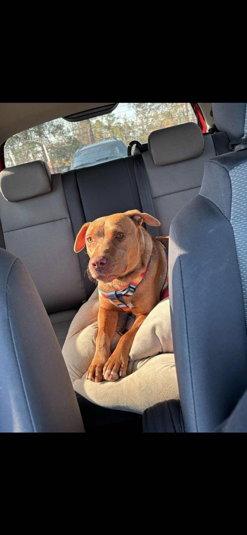 Sally (20250205-02) — thumbnail 4