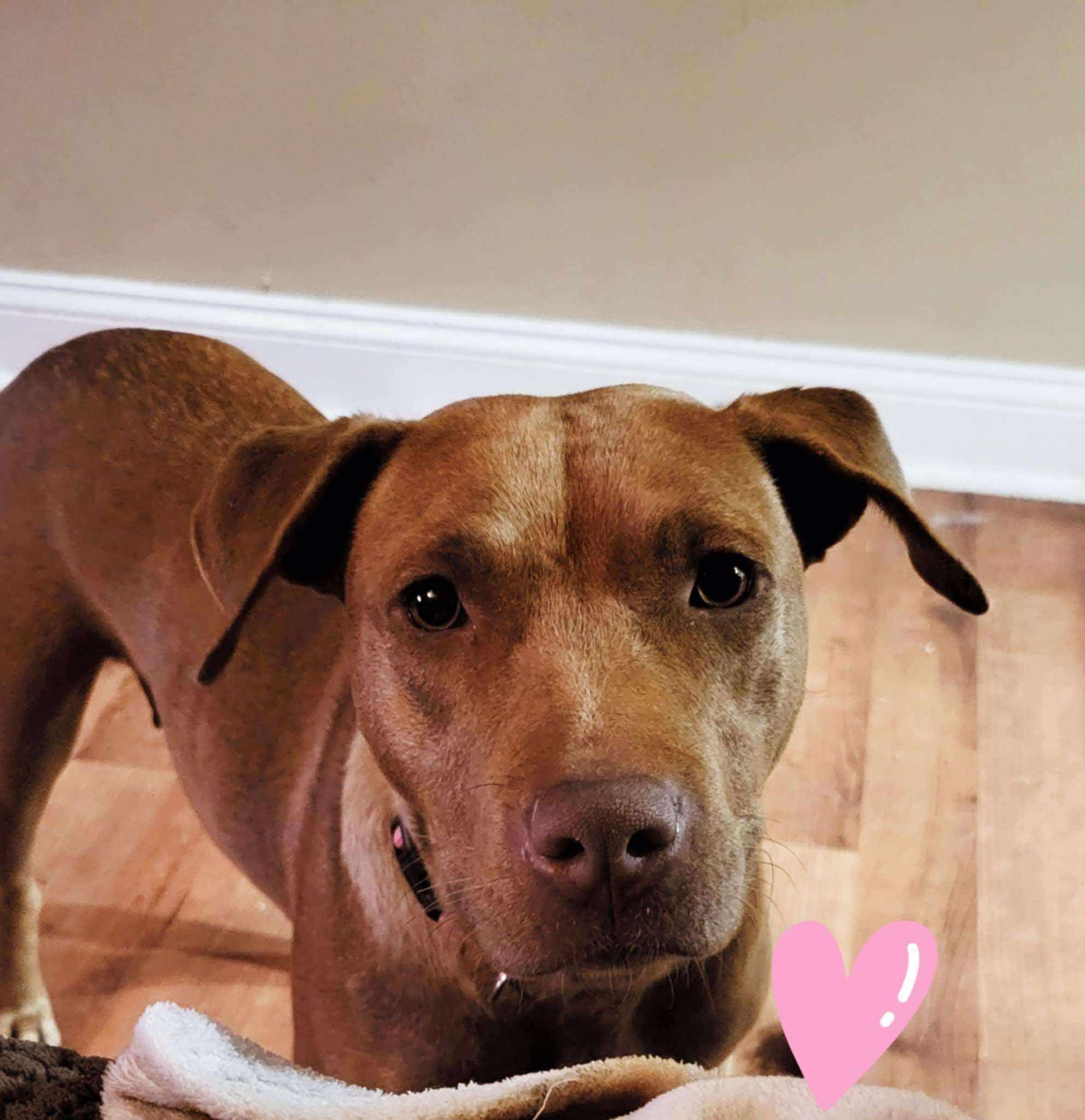 Sally (20250205-02) — thumbnail 5