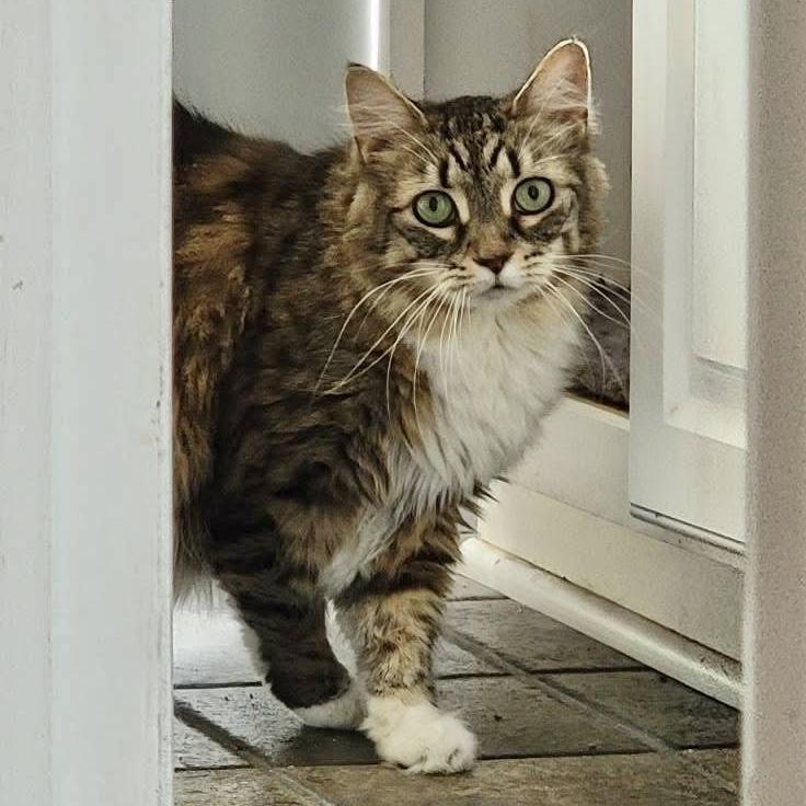 Coco & Jake thumbnail 3