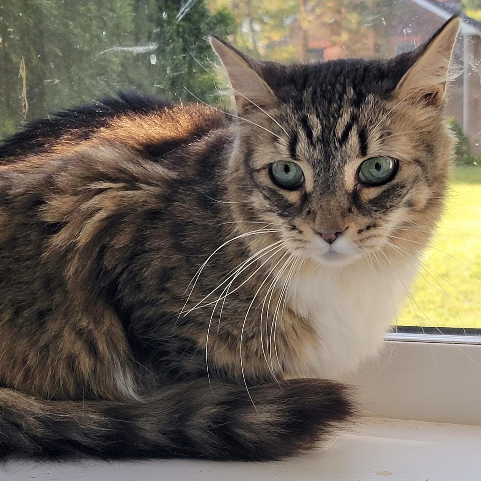 Coco & Jake thumbnail 5