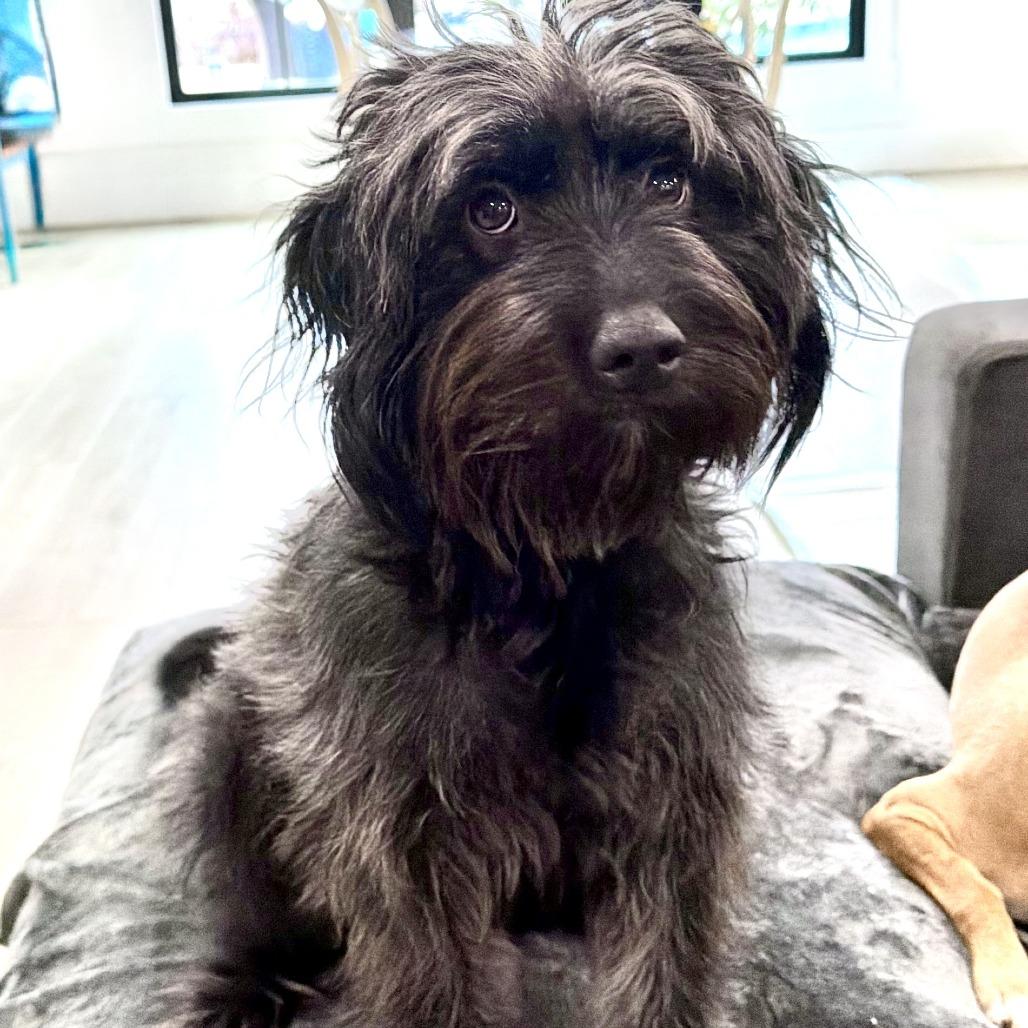 Solstice 22075 — thumbnail 4