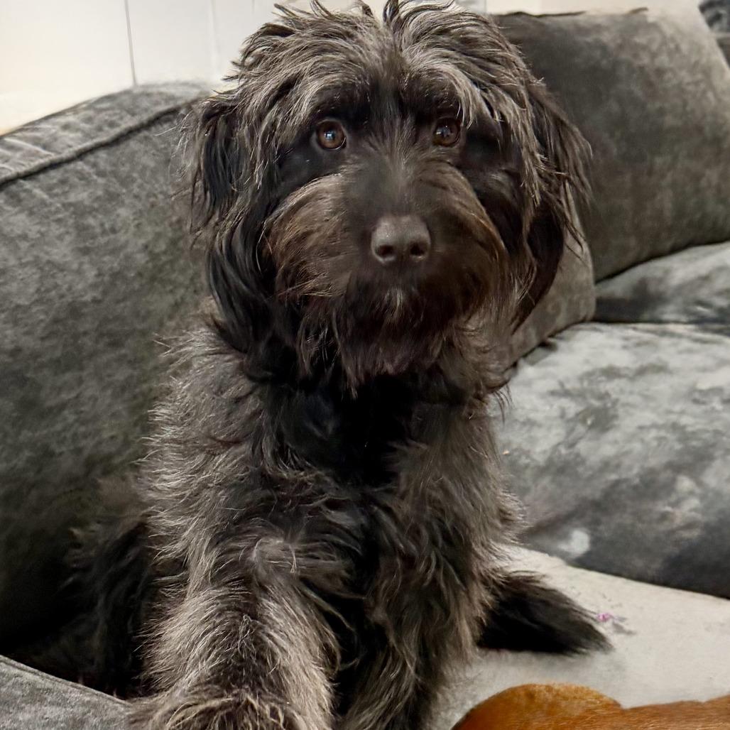 Solstice 22075 — thumbnail 5