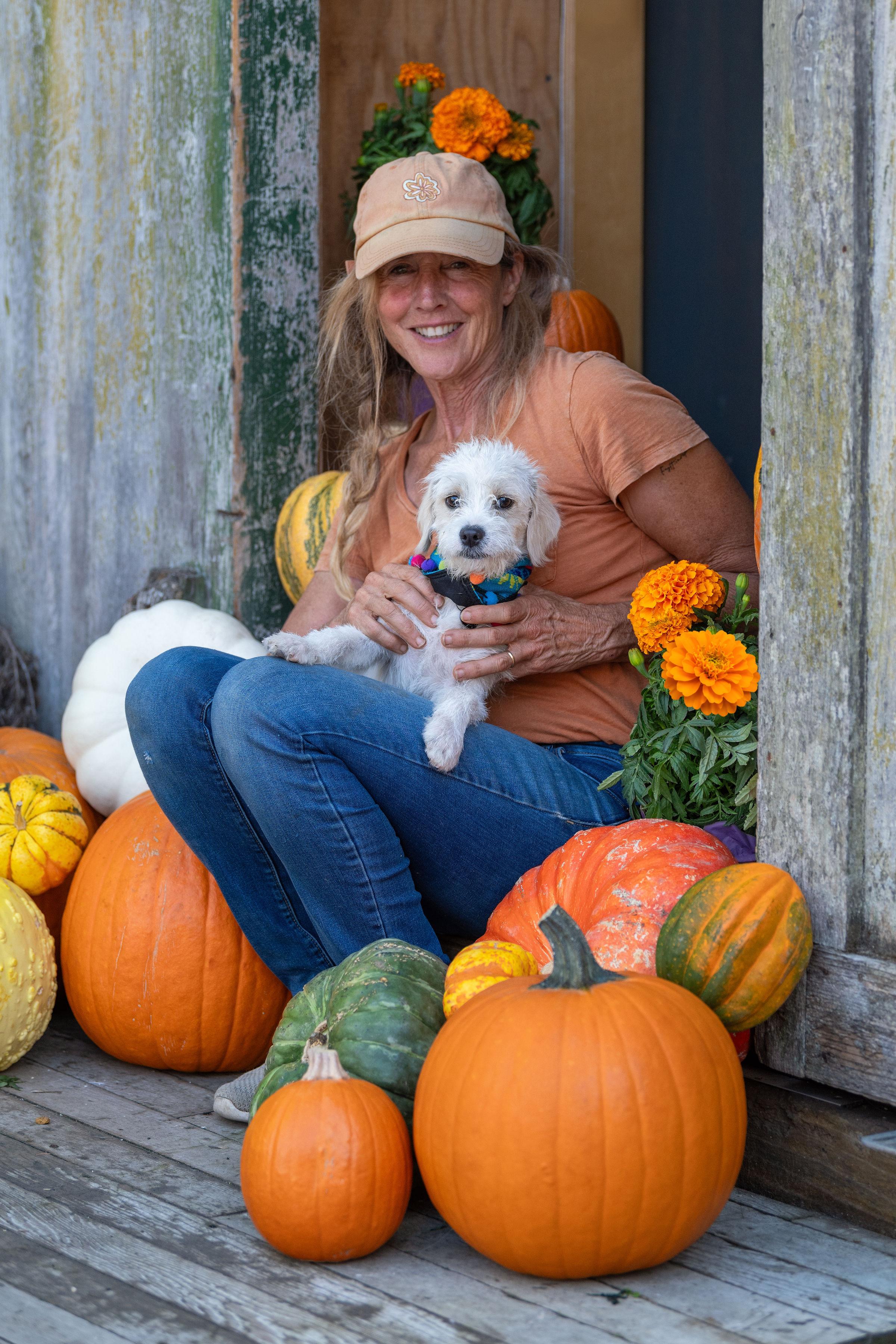 Enlarge Moon, an adopted mixed breed in Santa Rosa, CA image 2/3