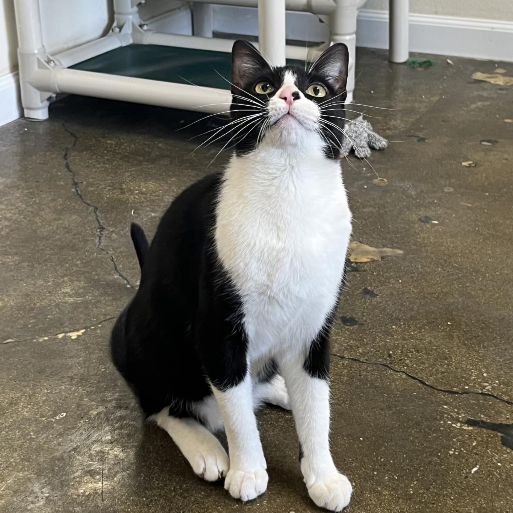 Mini Me — thumbnail 2