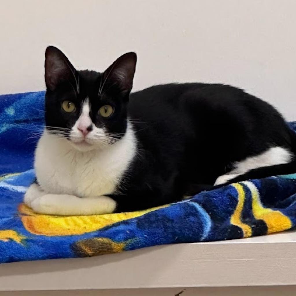 Mini Me — thumbnail 3