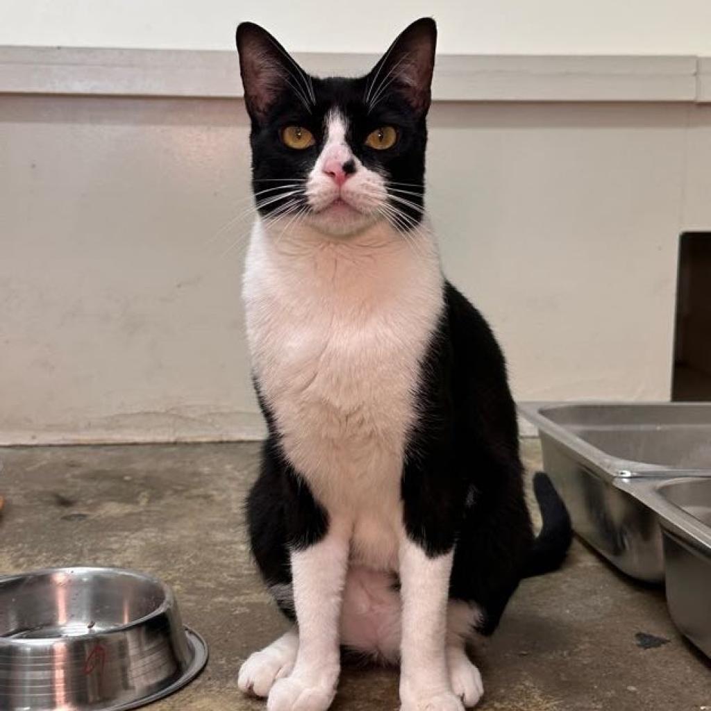 Mini Me — thumbnail 5