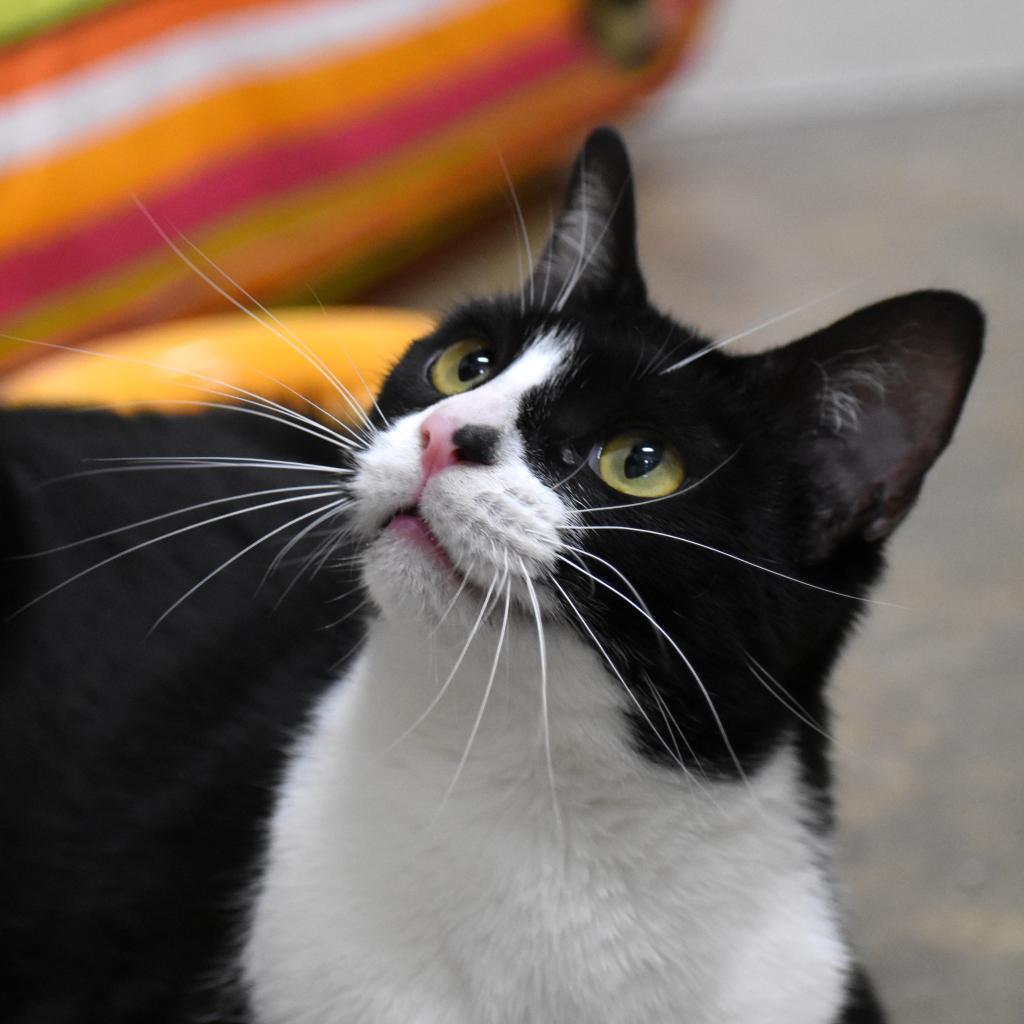 Mini Me — thumbnail 6