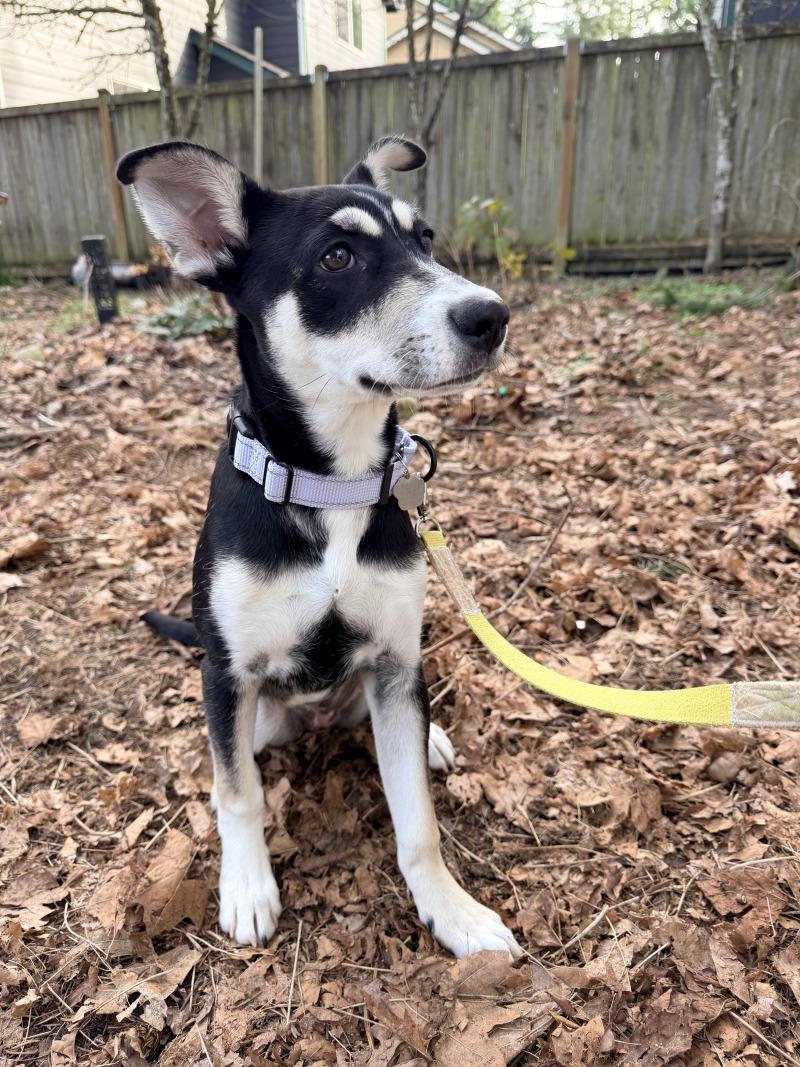 Sprinkles FKA Aespa K Pop