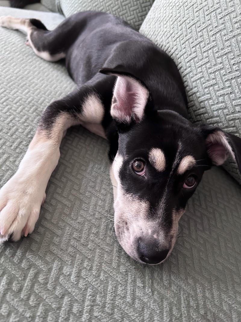 Sprinkles FKA Aespa K Pop — thumbnail 2