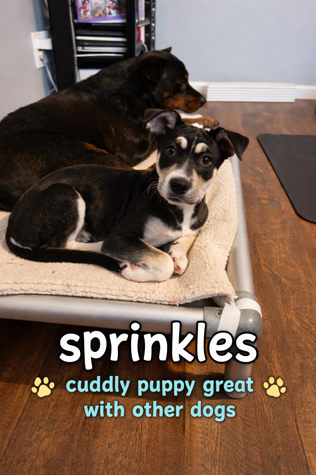 Sprinkles FKA Aespa K Pop — thumbnail 4