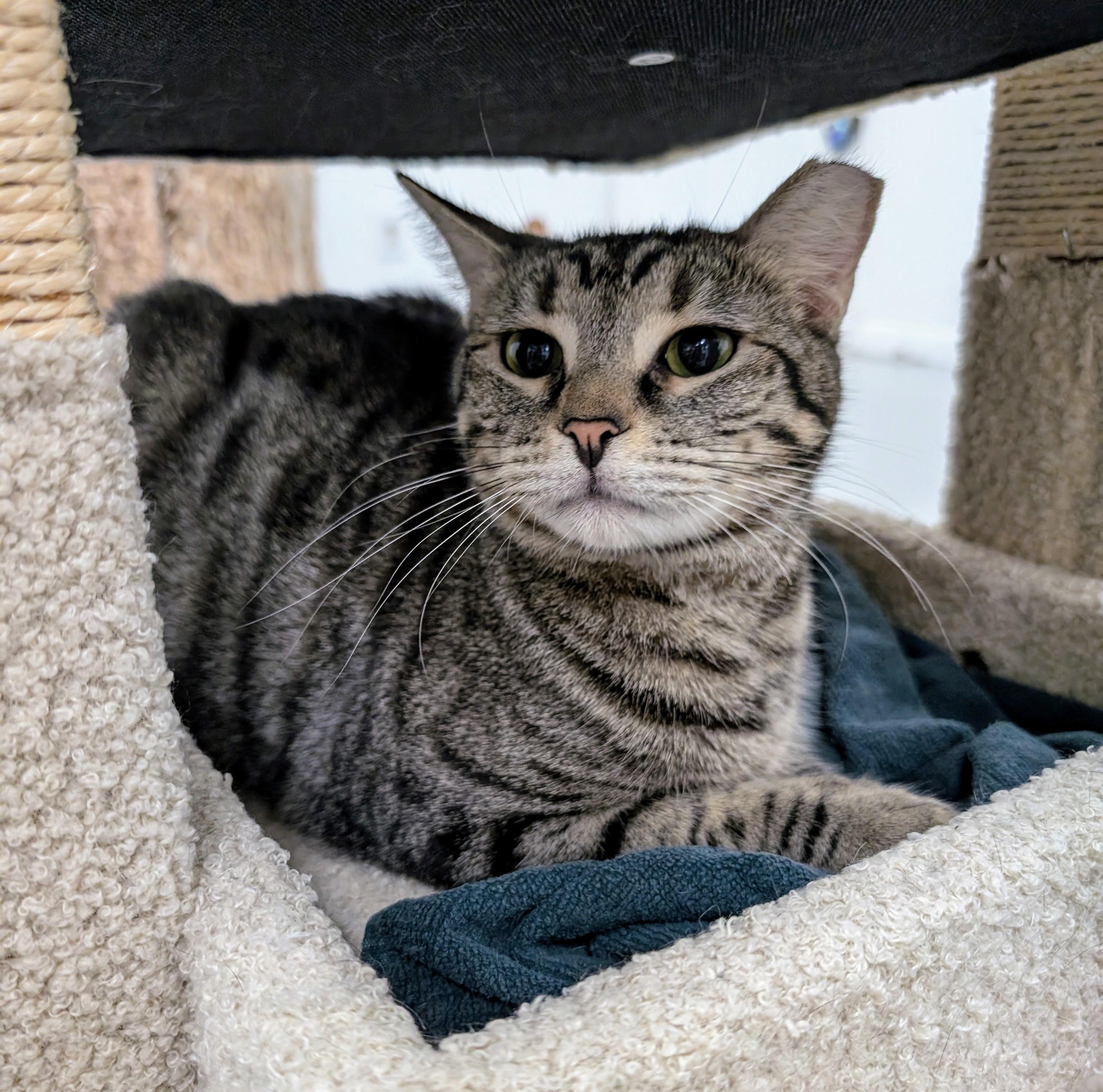 Sammy