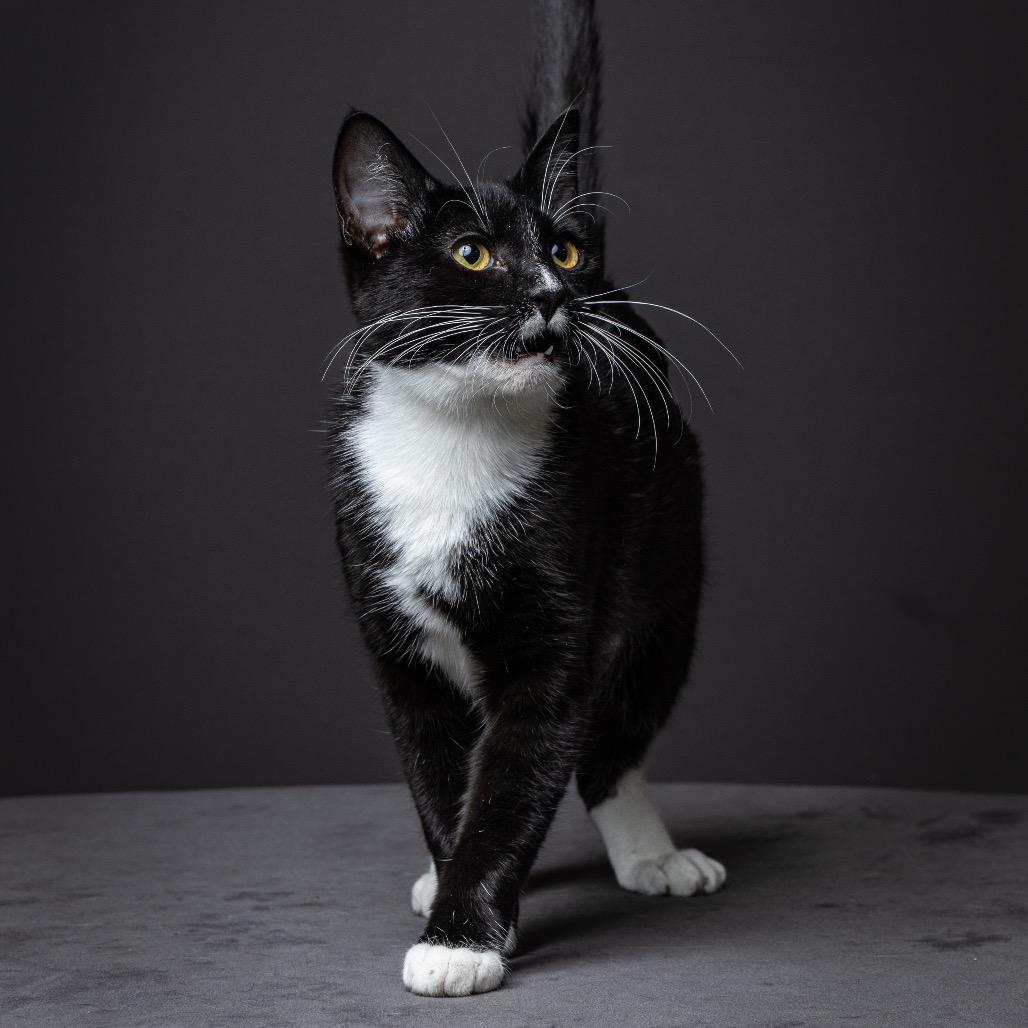 Registration Ngarth thumbnail 2