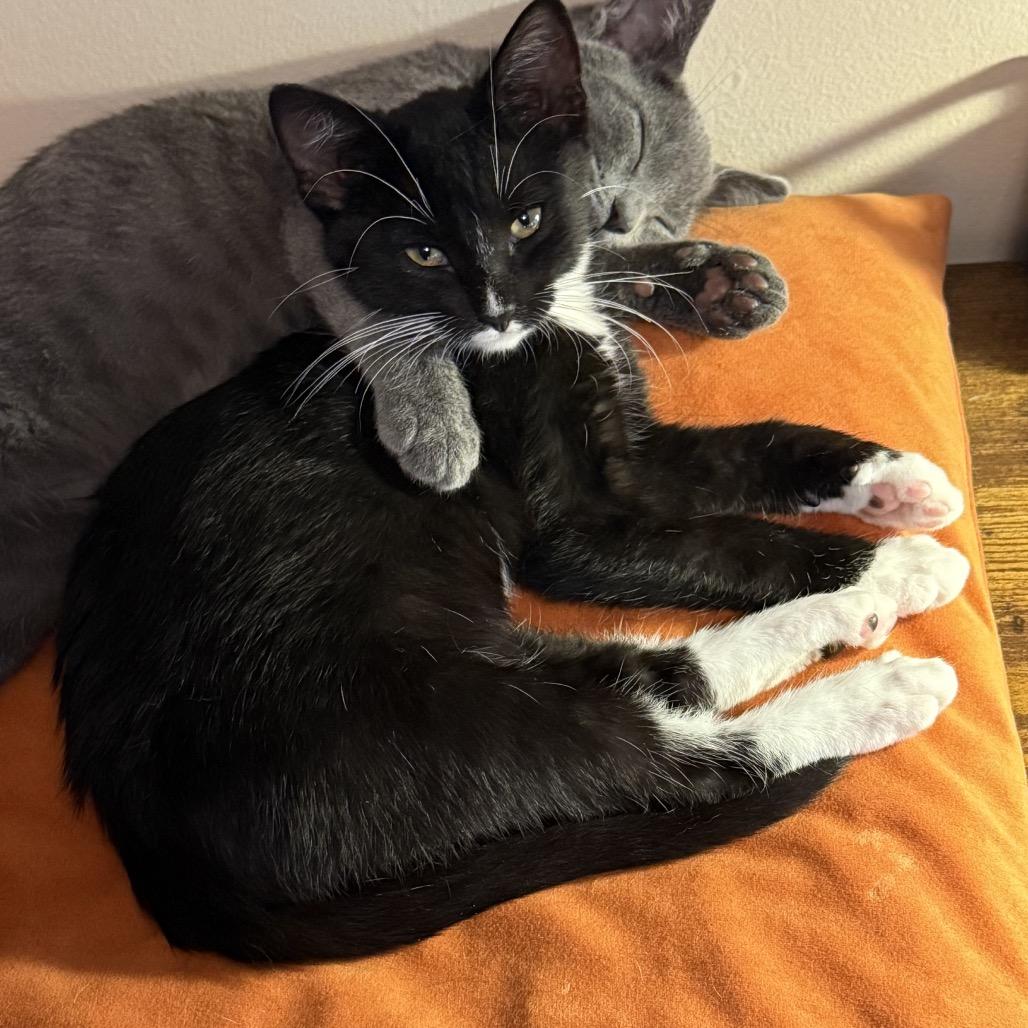 Registration Ngarth thumbnail 3