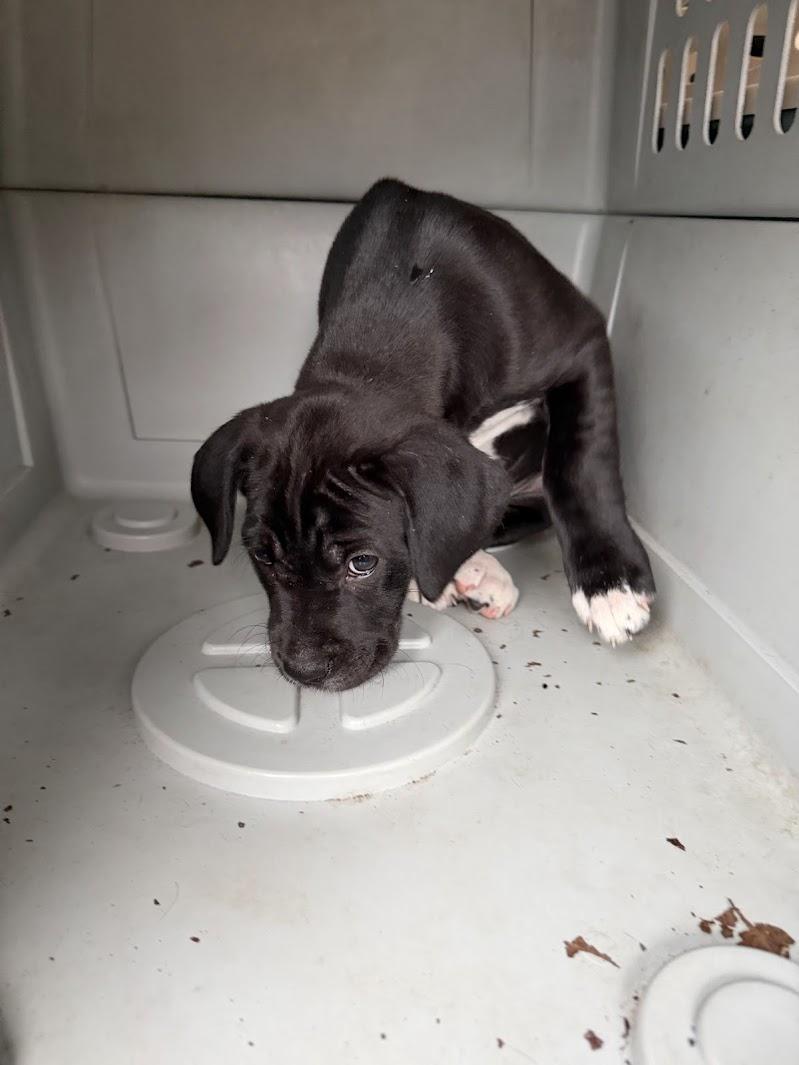 DESSERT — thumbnail 3