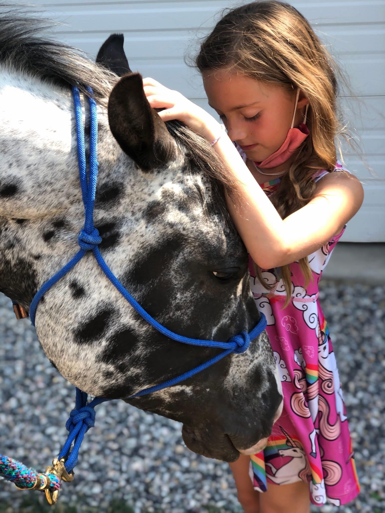 Enlarge Leo, an adopted Appaloosa in Wilsall, MT image 1/1