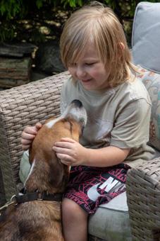 Suri, ADOPTABLE, Puppy Female American Staffordshire Terrier & Pit Bull Terrier.