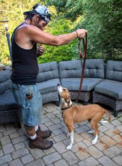 Enlarge Suri, a ADOPTABLE mixed breed in Canterbury, CT image 4/4