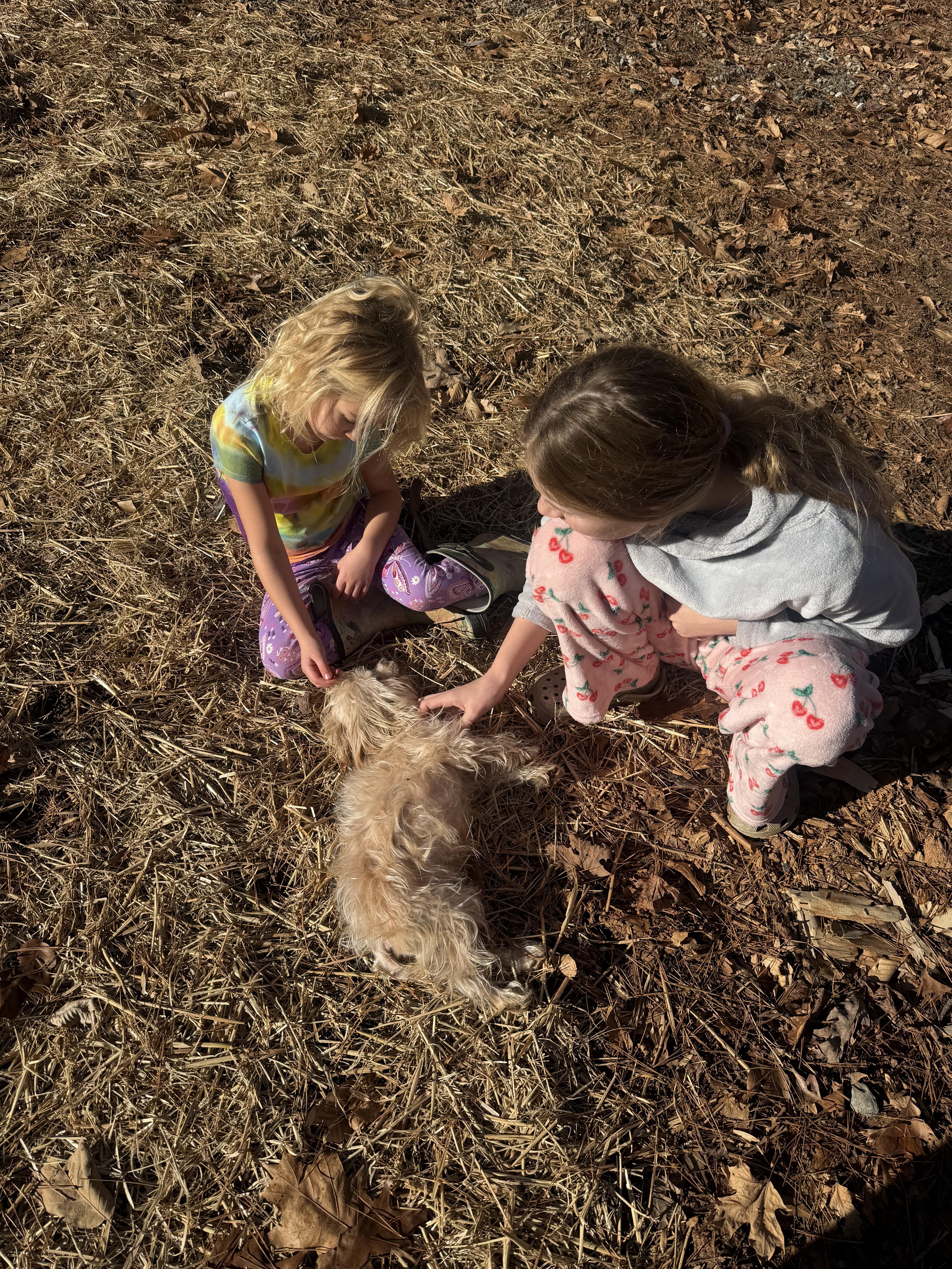 Tiny Tim “ Timmy” thumbnail 3