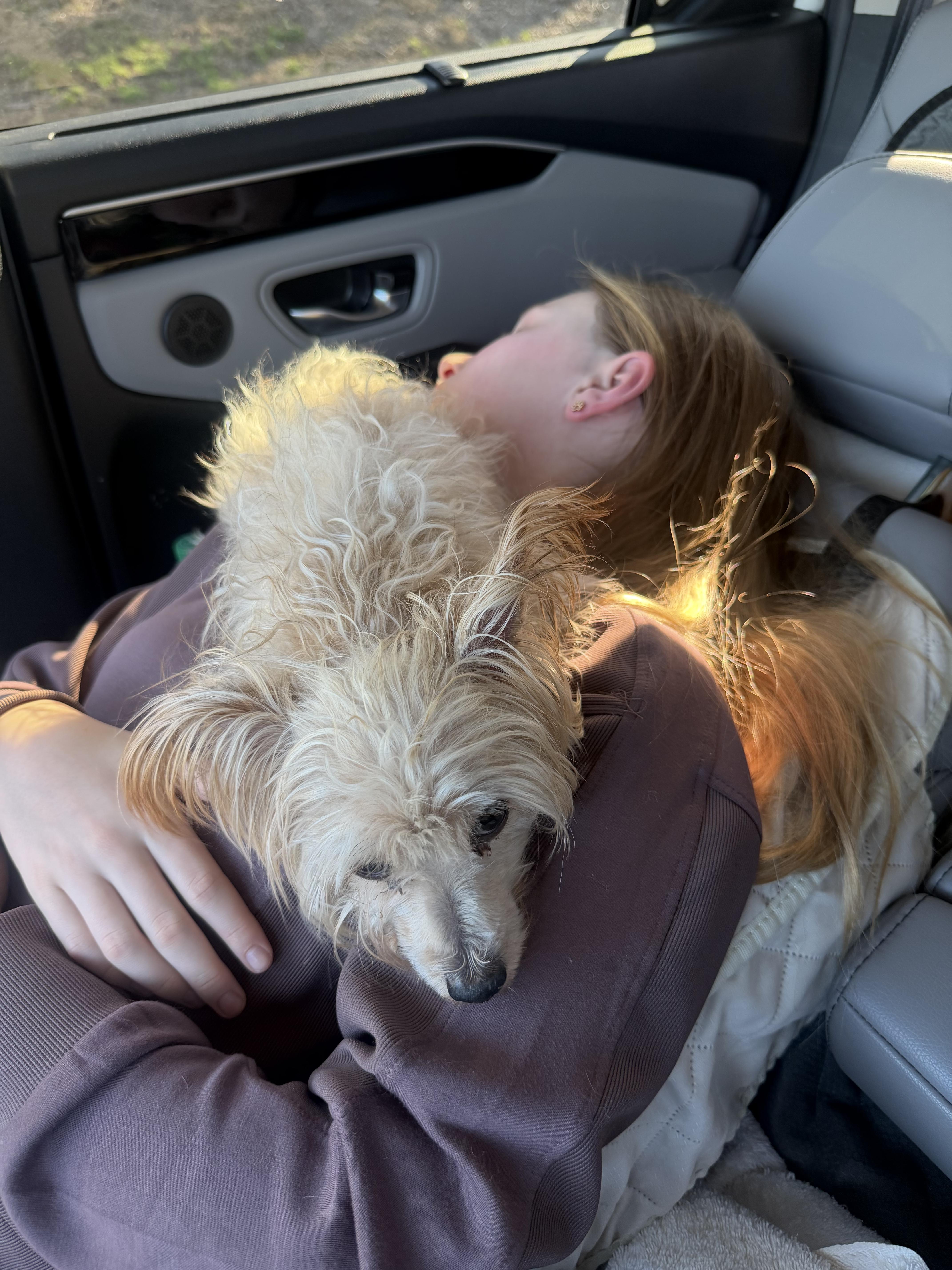 Tiny Tim “ Timmy” thumbnail 4