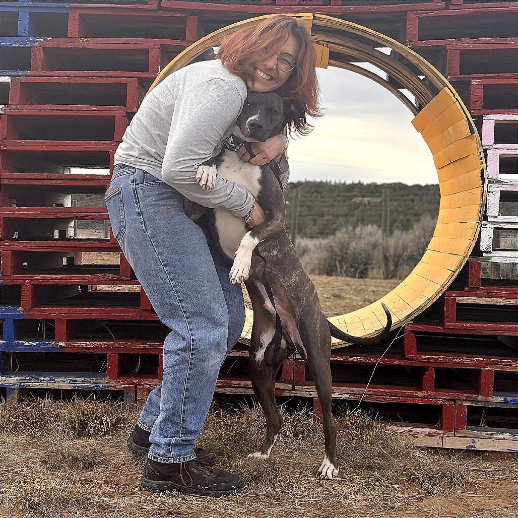 Enlarge Duggie, a Adoptable Pit Bull Terrier in Glenwood Springs, CO image 2/6