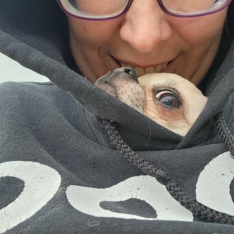 Enlarge Tyson, a ADOPTABLE mixed breed in Appin, ON image 6/6